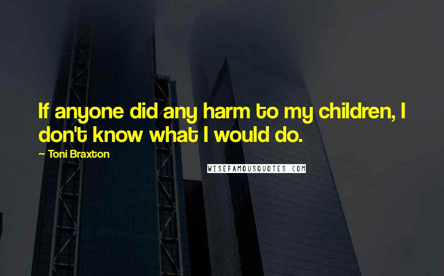 Toni Braxton Quotes: If anyone did any harm to my children, I don't know what I would do.