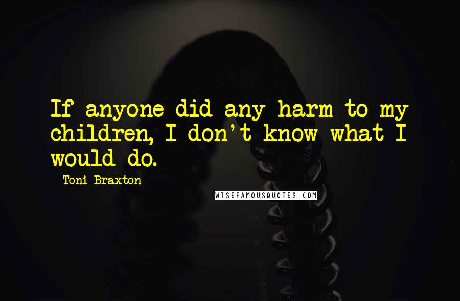 Toni Braxton Quotes: If anyone did any harm to my children, I don't know what I would do.