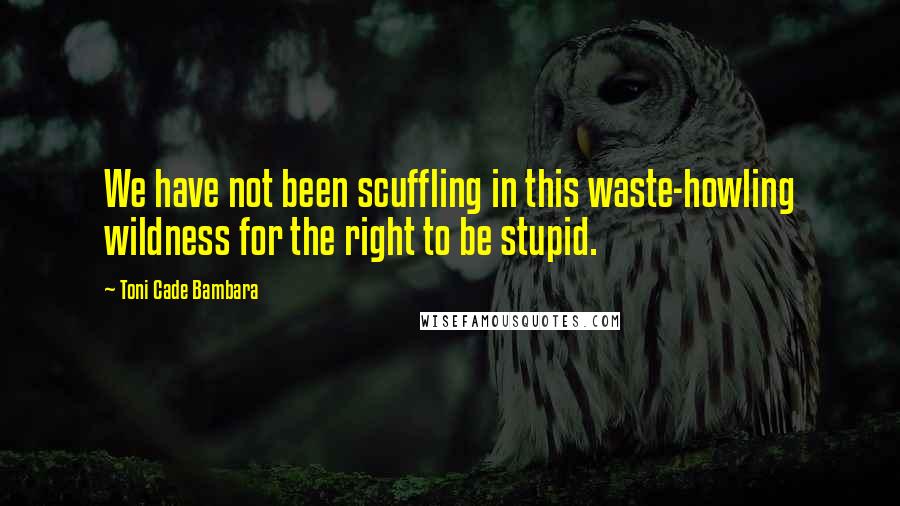 Toni Cade Bambara Quotes: We have not been scuffling in this waste-howling wildness for the right to be stupid.