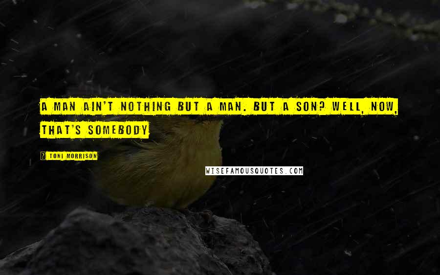 Toni Morrison Quotes: A man ain't nothing but a man. But a son? Well, now, that's somebody