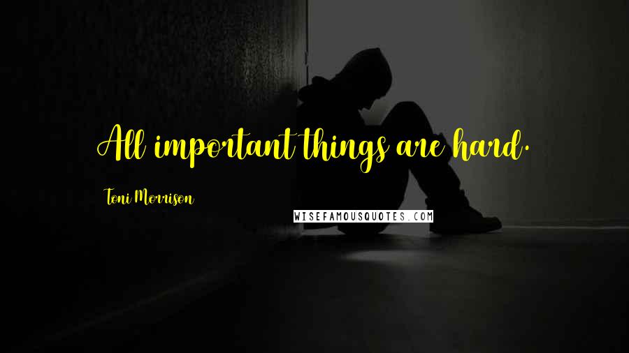 Toni Morrison Quotes: All important things are hard.