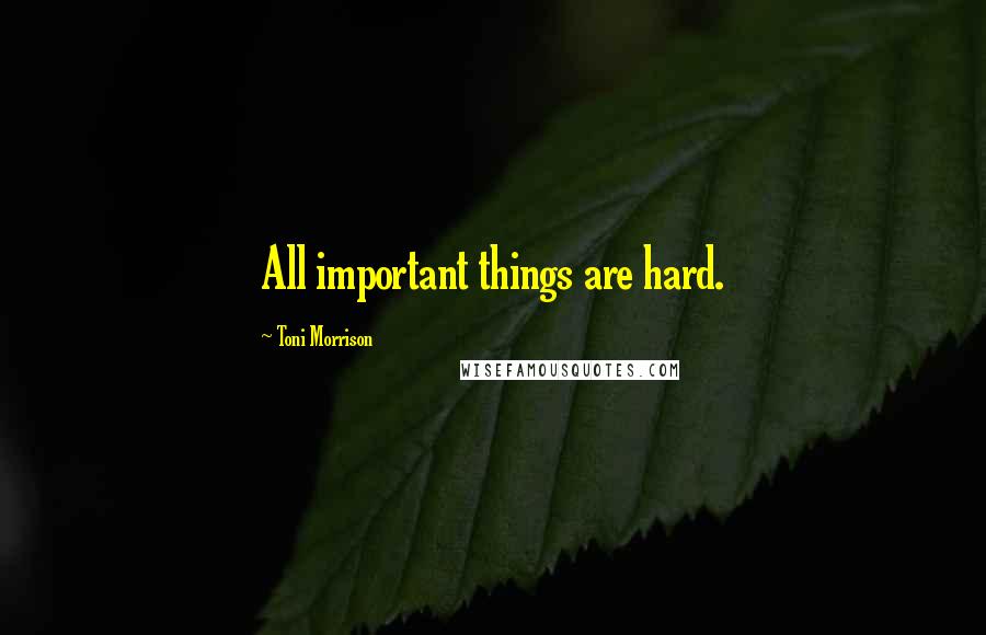 Toni Morrison Quotes: All important things are hard.