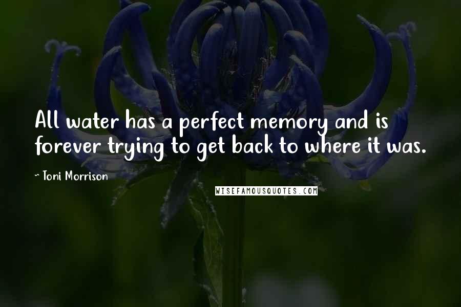 Toni Morrison Quotes: All water has a perfect memory and is forever trying to get back to where it was.