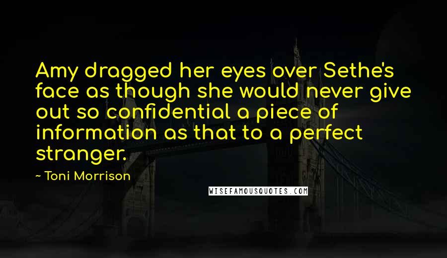 Toni Morrison Quotes: Amy dragged her eyes over Sethe's face as though she would never give out so confidential a piece of information as that to a perfect stranger.