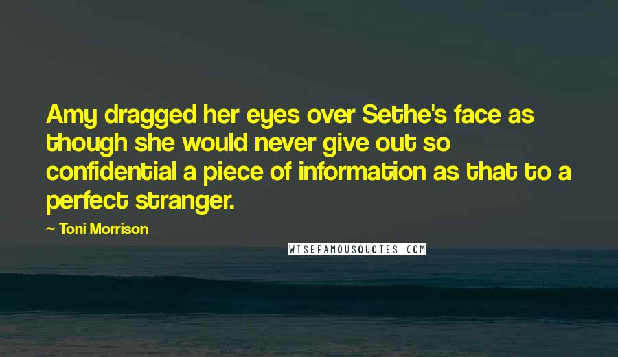 Toni Morrison Quotes: Amy dragged her eyes over Sethe's face as though she would never give out so confidential a piece of information as that to a perfect stranger.