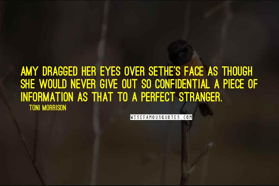 Toni Morrison Quotes: Amy dragged her eyes over Sethe's face as though she would never give out so confidential a piece of information as that to a perfect stranger.