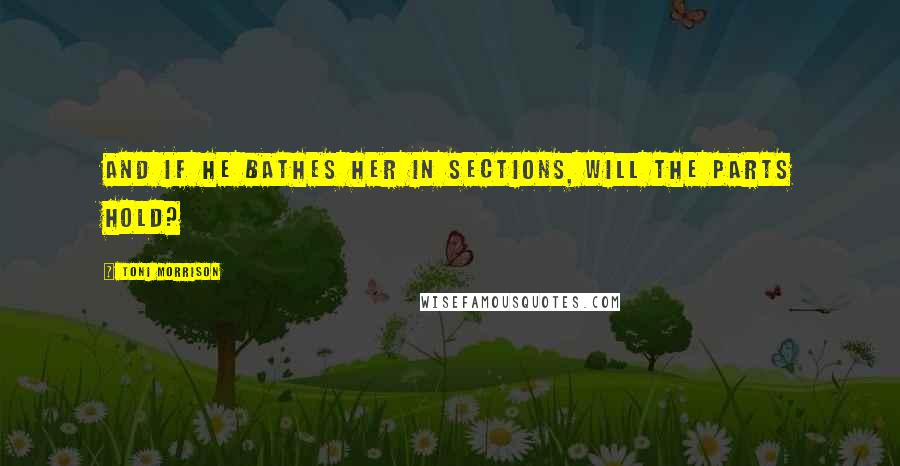 Toni Morrison Quotes: And if he bathes her in sections, will the parts hold?