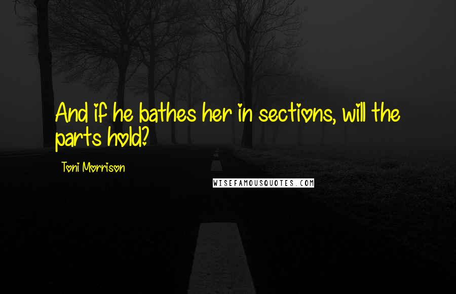 Toni Morrison Quotes: And if he bathes her in sections, will the parts hold?