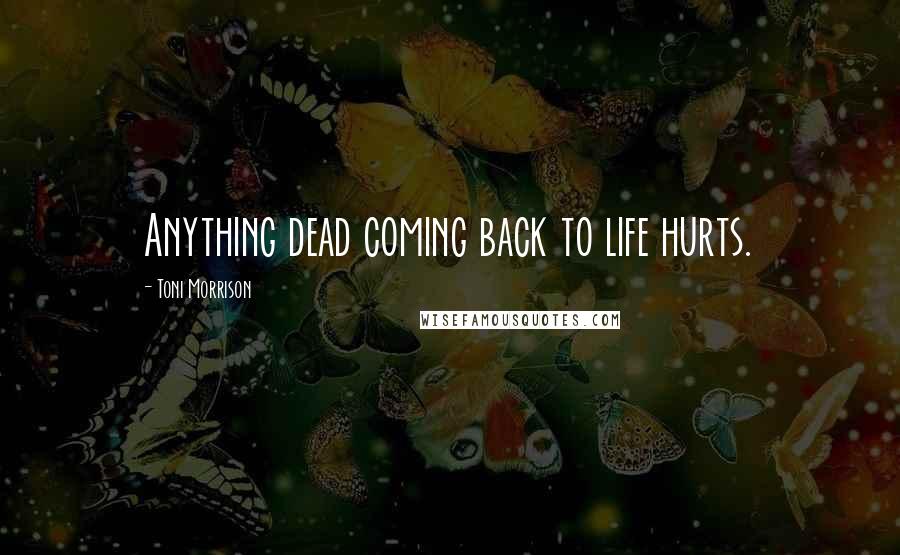 Toni Morrison Quotes: Anything dead coming back to life hurts.