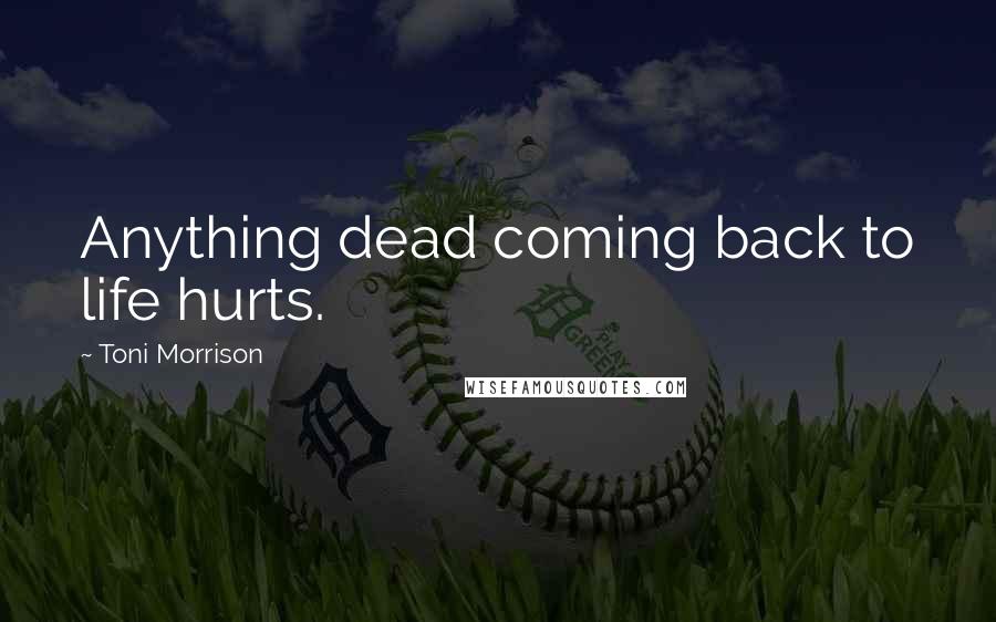 Toni Morrison Quotes: Anything dead coming back to life hurts.