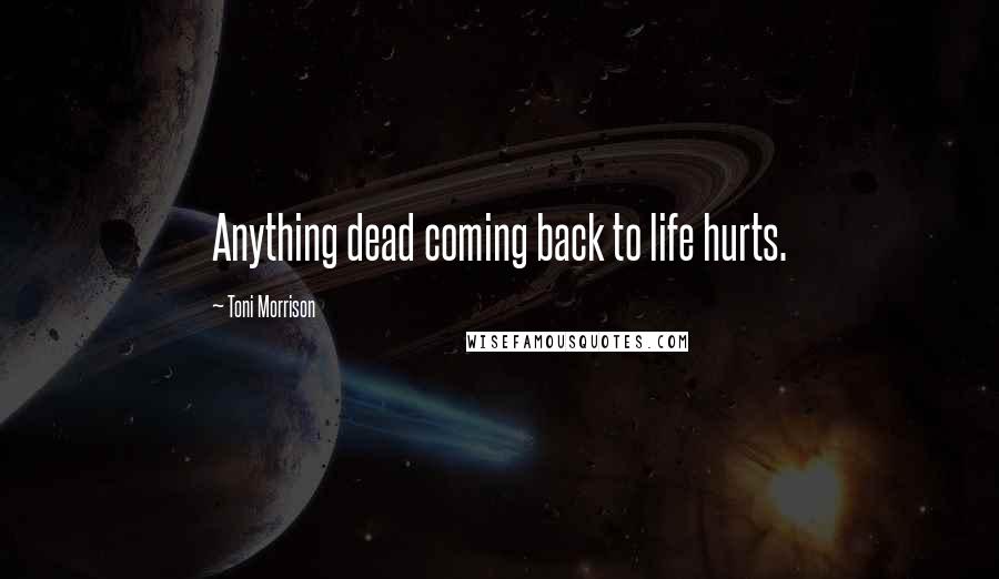 Toni Morrison Quotes: Anything dead coming back to life hurts.