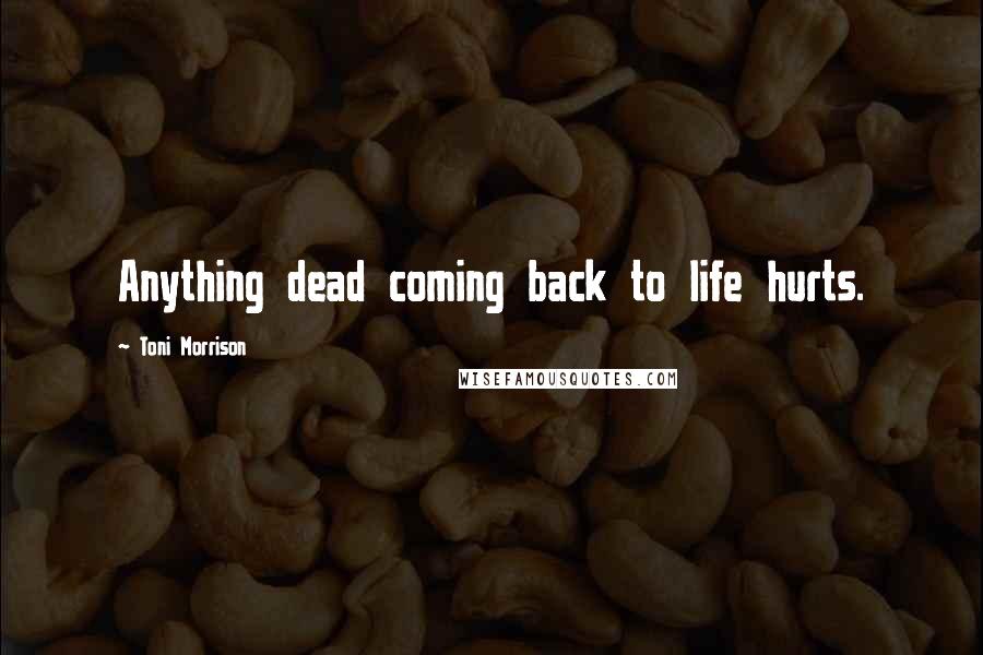 Toni Morrison Quotes: Anything dead coming back to life hurts.