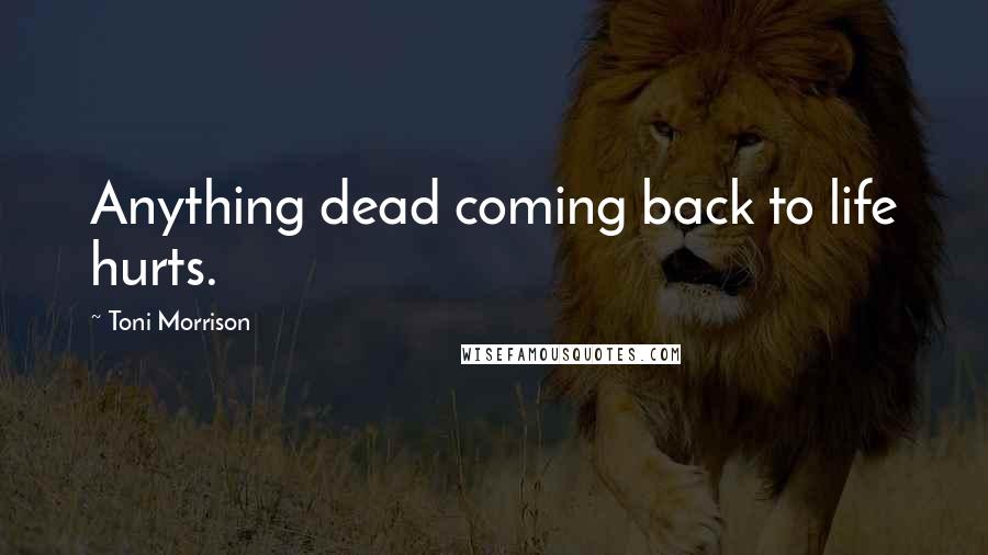Toni Morrison Quotes: Anything dead coming back to life hurts.