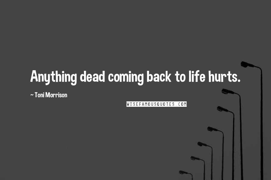 Toni Morrison Quotes: Anything dead coming back to life hurts.