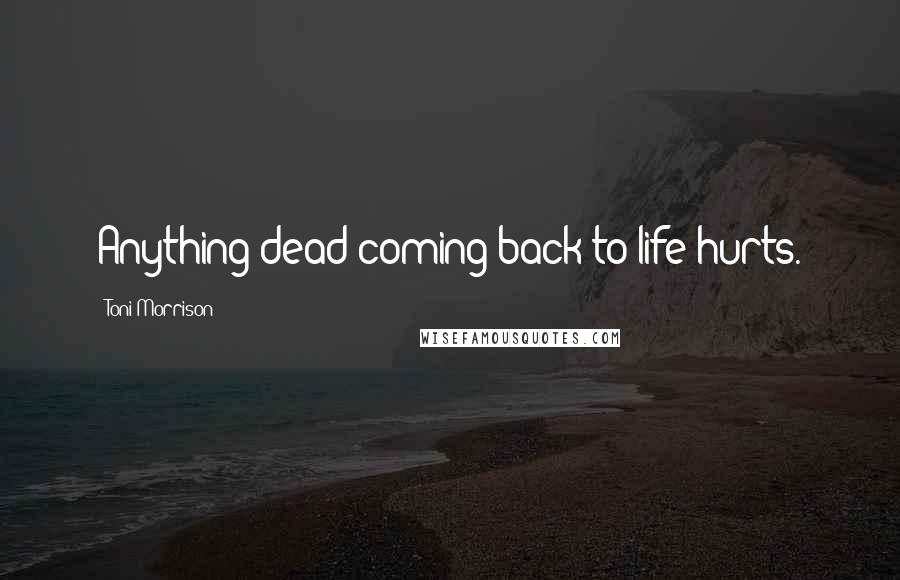Toni Morrison Quotes: Anything dead coming back to life hurts.
