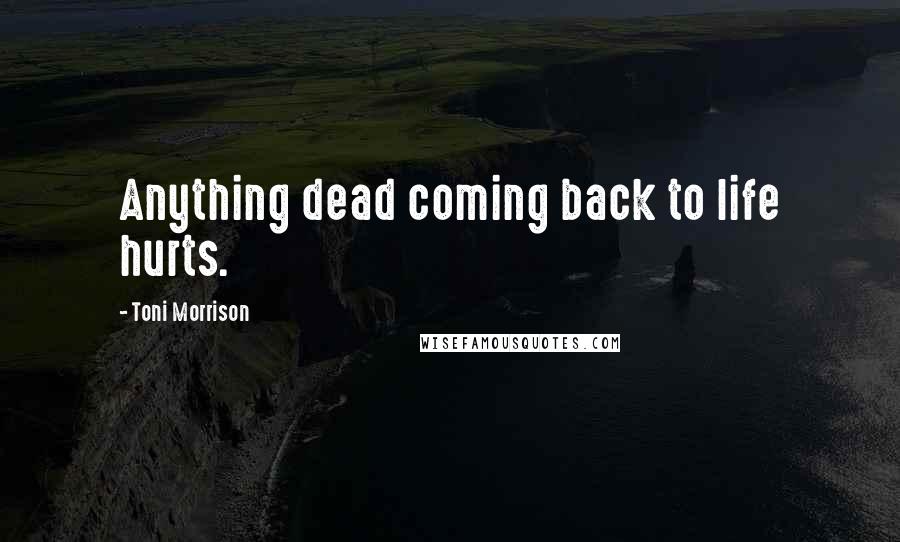 Toni Morrison Quotes: Anything dead coming back to life hurts.