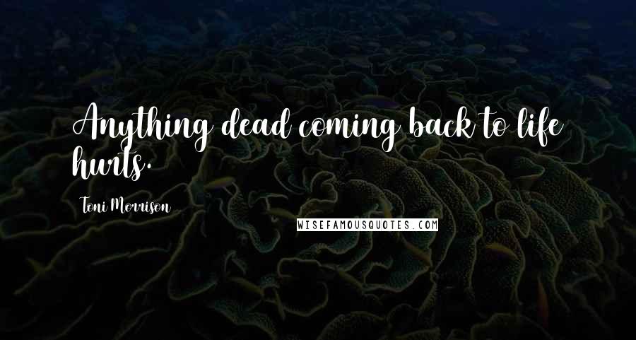 Toni Morrison Quotes: Anything dead coming back to life hurts.