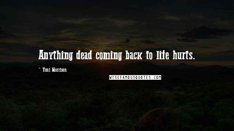 Toni Morrison Quotes: Anything dead coming back to life hurts.