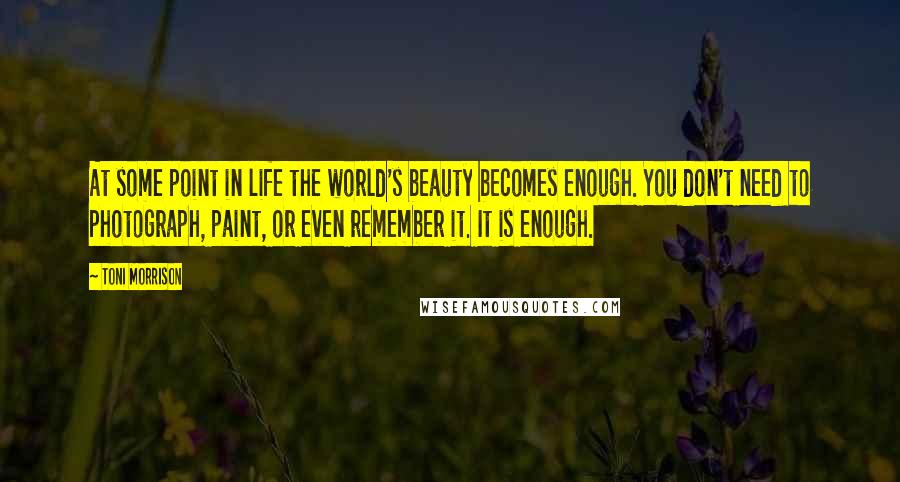 Toni Morrison Quotes: At some point in life the world's beauty becomes enough. You don't need to photograph, paint, or even remember it. It is enough.