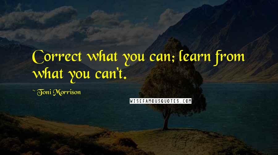 Toni Morrison Quotes: Correct what you can; learn from what you can't.