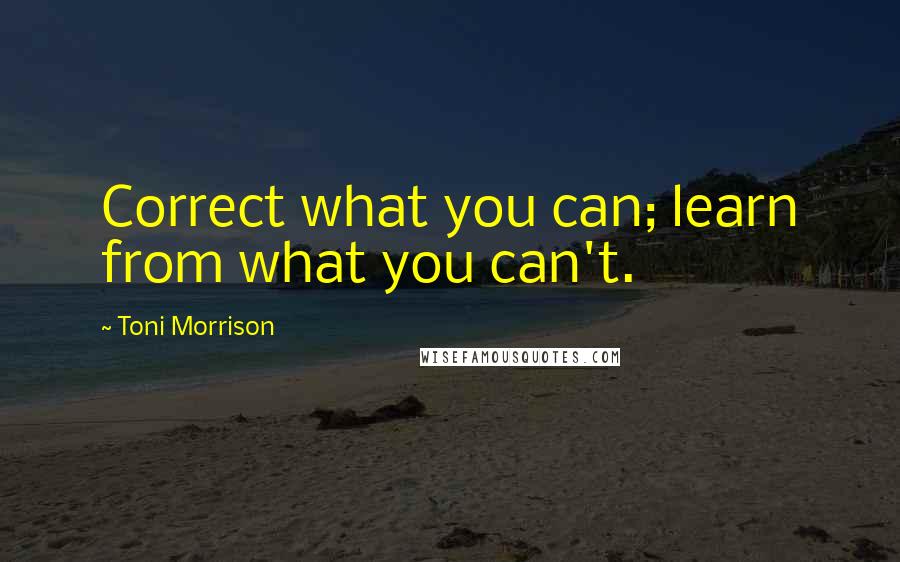 Toni Morrison Quotes: Correct what you can; learn from what you can't.