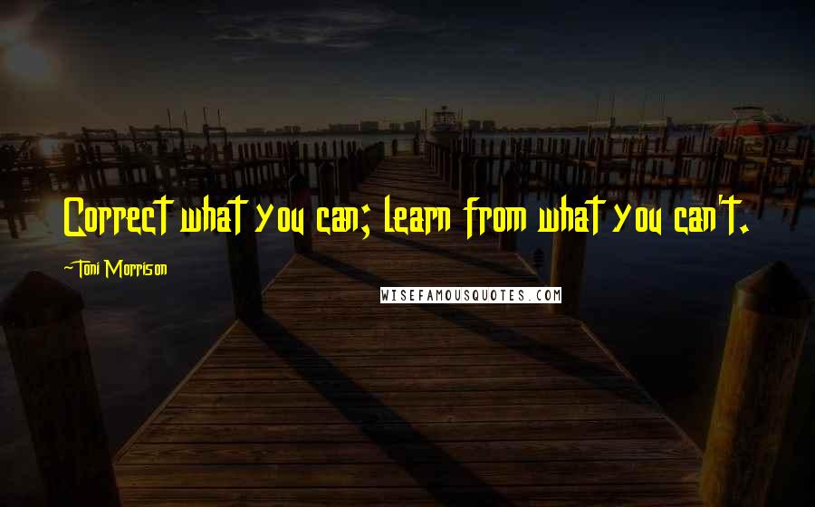 Toni Morrison Quotes: Correct what you can; learn from what you can't.