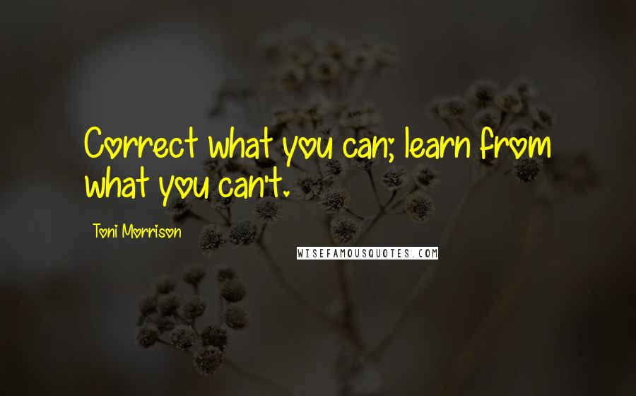 Toni Morrison Quotes: Correct what you can; learn from what you can't.