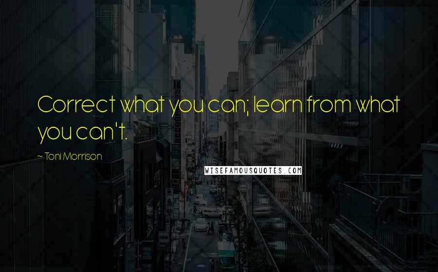Toni Morrison Quotes: Correct what you can; learn from what you can't.