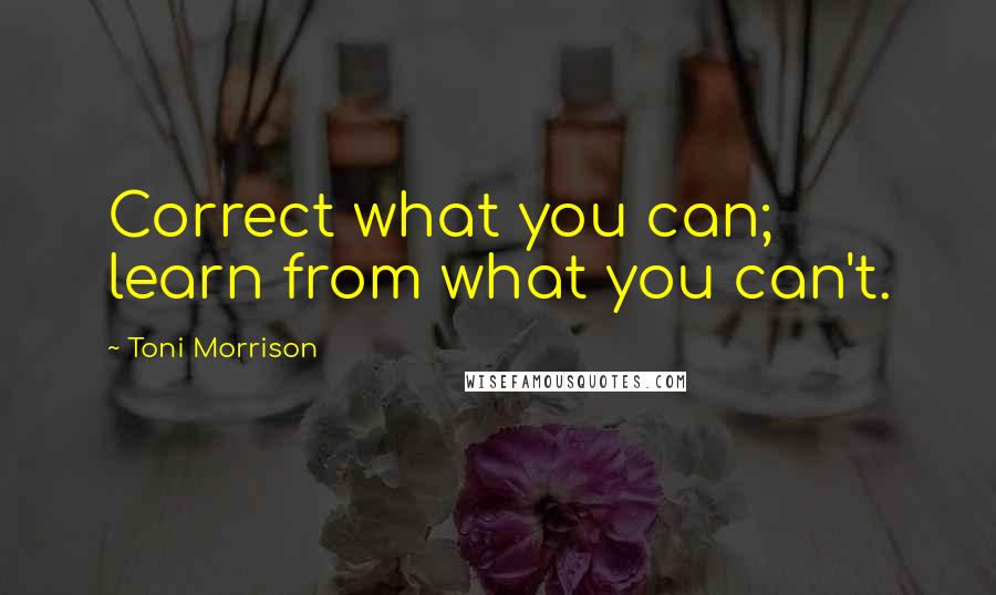 Toni Morrison Quotes: Correct what you can; learn from what you can't.