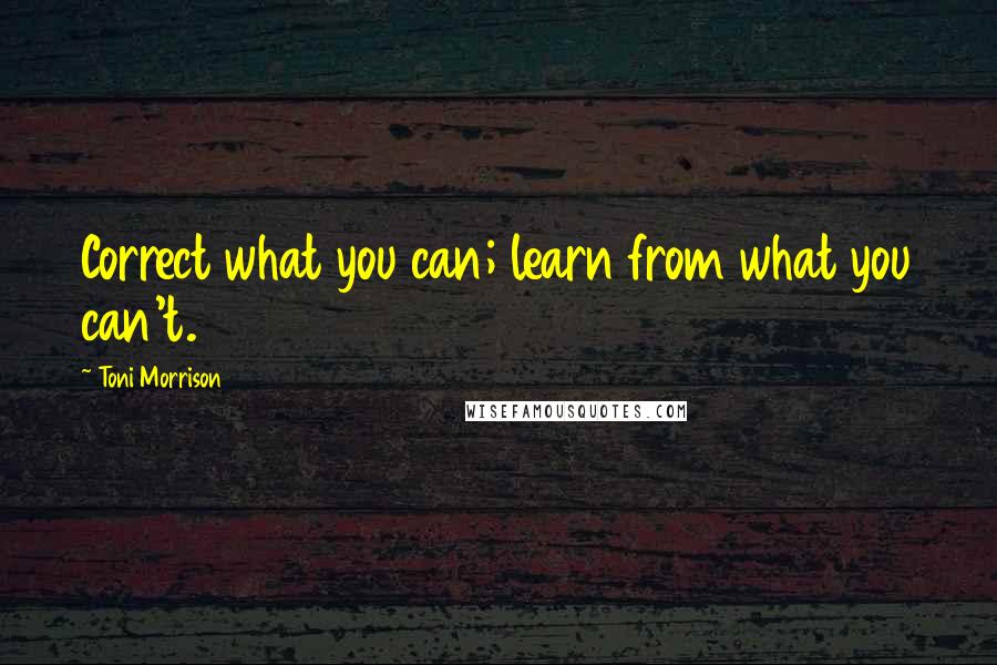 Toni Morrison Quotes: Correct what you can; learn from what you can't.