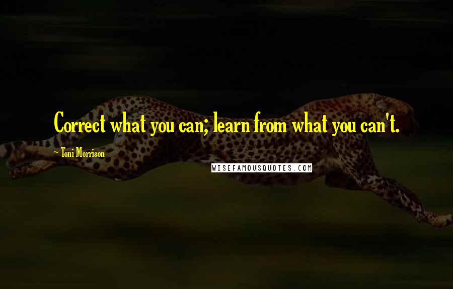 Toni Morrison Quotes: Correct what you can; learn from what you can't.