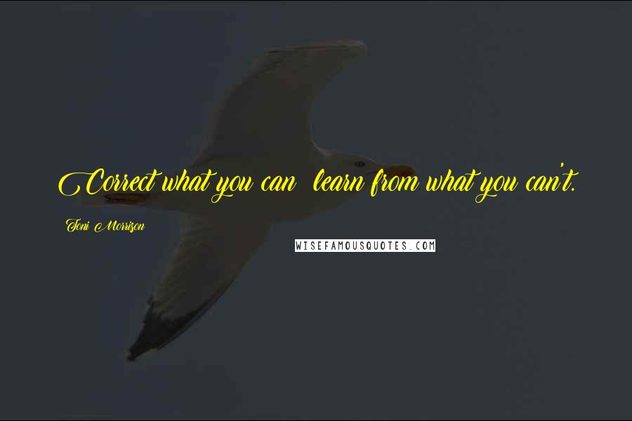 Toni Morrison Quotes: Correct what you can; learn from what you can't.