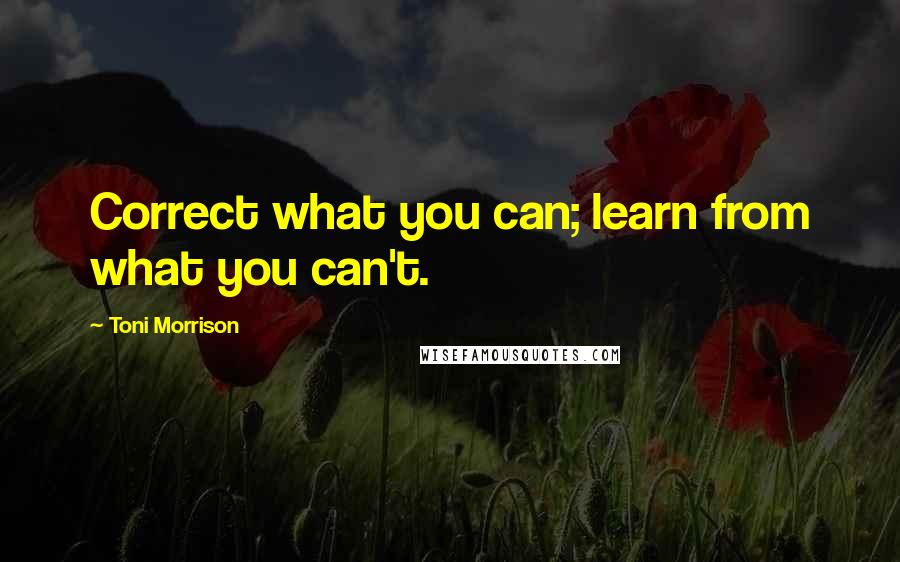 Toni Morrison Quotes: Correct what you can; learn from what you can't.