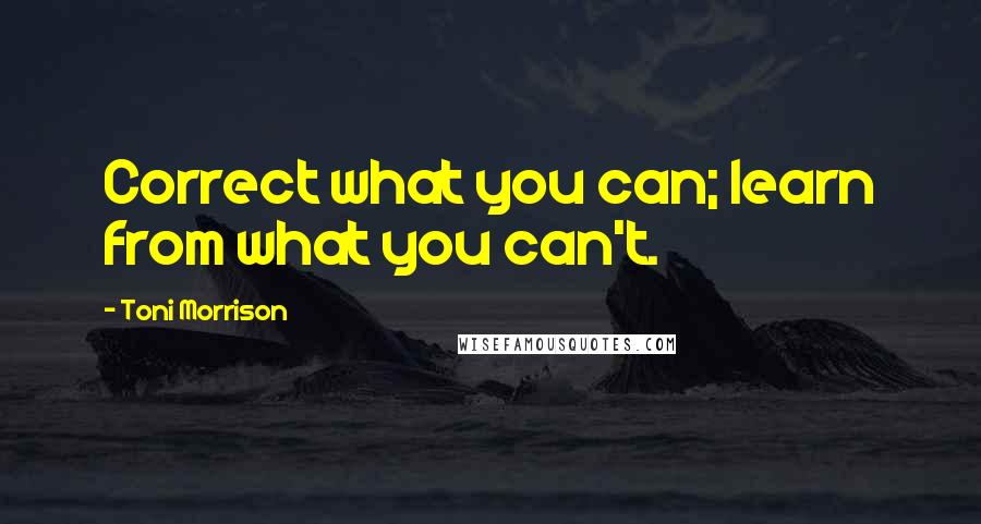 Toni Morrison Quotes: Correct what you can; learn from what you can't.