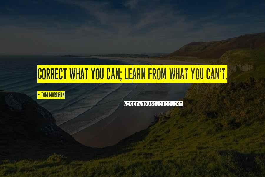 Toni Morrison Quotes: Correct what you can; learn from what you can't.