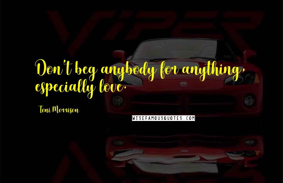 Toni Morrison Quotes: Don't beg anybody for anything, especially love.