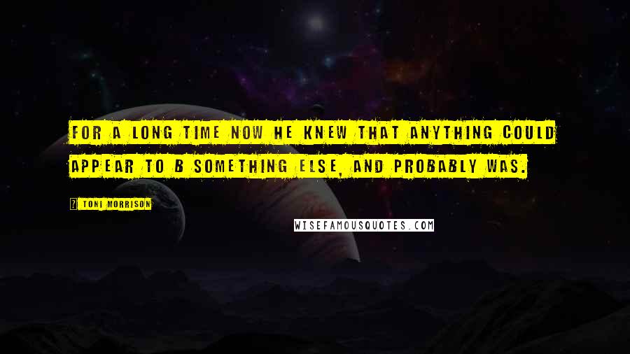 Toni Morrison Quotes: For a long time now he knew that anything could appear to b something else, and probably was.