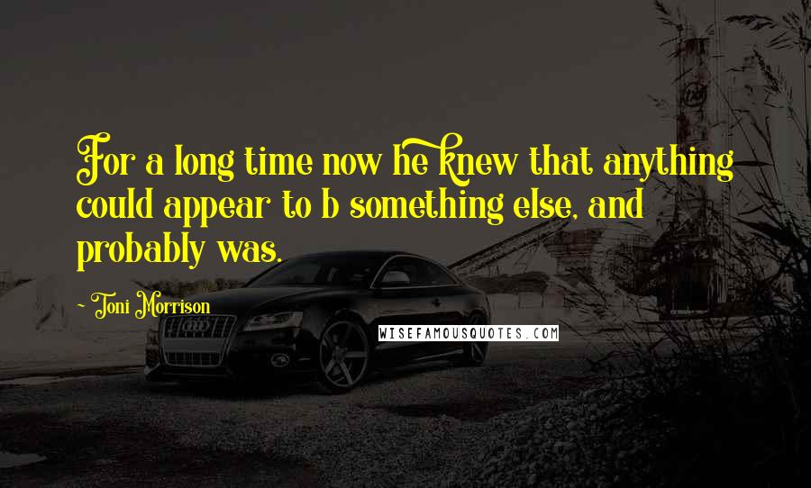 Toni Morrison Quotes: For a long time now he knew that anything could appear to b something else, and probably was.