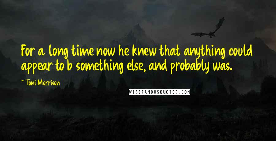 Toni Morrison Quotes: For a long time now he knew that anything could appear to b something else, and probably was.