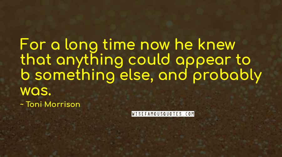 Toni Morrison Quotes: For a long time now he knew that anything could appear to b something else, and probably was.