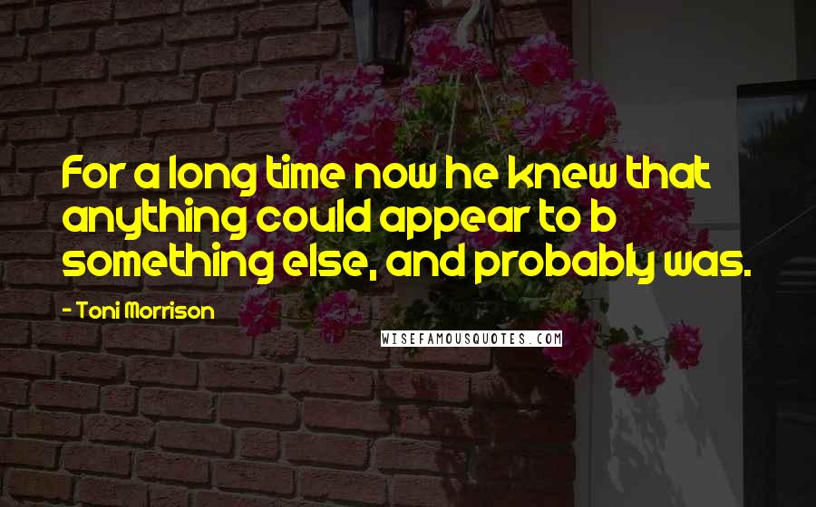 Toni Morrison Quotes: For a long time now he knew that anything could appear to b something else, and probably was.