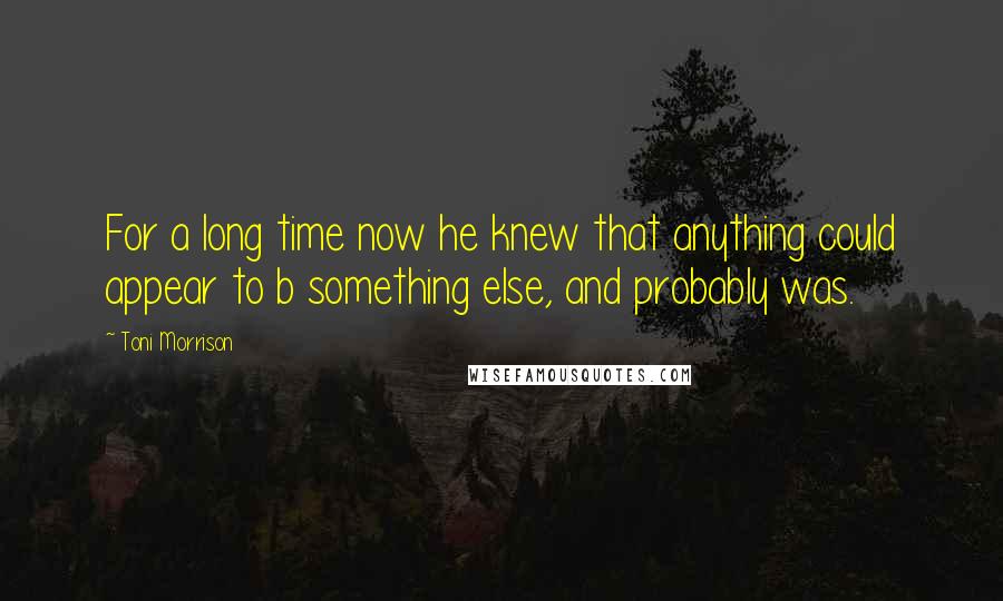 Toni Morrison Quotes: For a long time now he knew that anything could appear to b something else, and probably was.