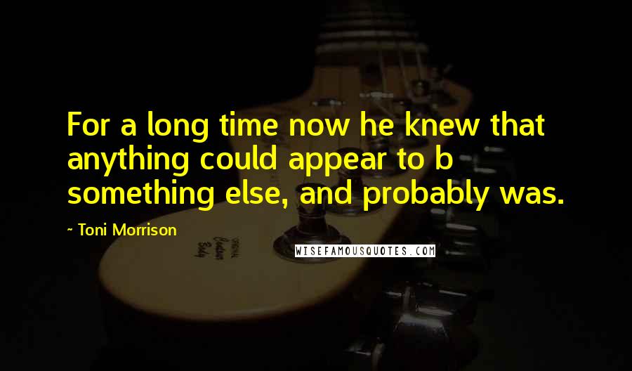 Toni Morrison Quotes: For a long time now he knew that anything could appear to b something else, and probably was.