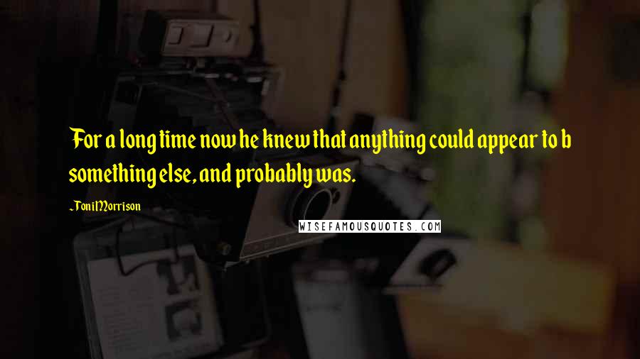 Toni Morrison Quotes: For a long time now he knew that anything could appear to b something else, and probably was.