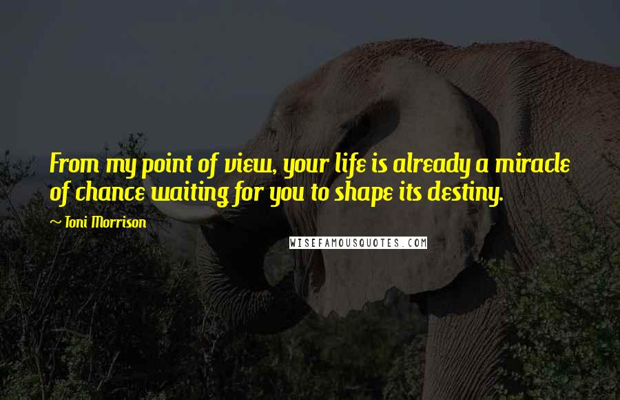 Toni Morrison Quotes: From my point of view, your life is already a miracle of chance waiting for you to shape its destiny.