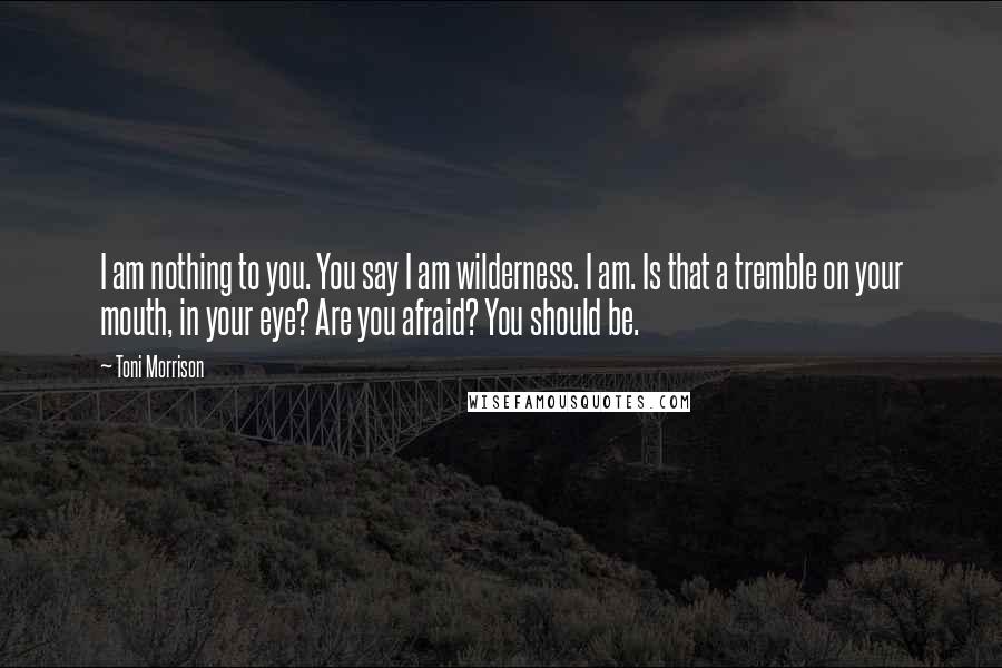 Toni Morrison Quotes: I am nothing to you. You say I am wilderness. I am. Is that a tremble on your mouth, in your eye? Are you afraid? You should be.