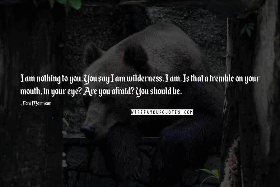 Toni Morrison Quotes: I am nothing to you. You say I am wilderness. I am. Is that a tremble on your mouth, in your eye? Are you afraid? You should be.