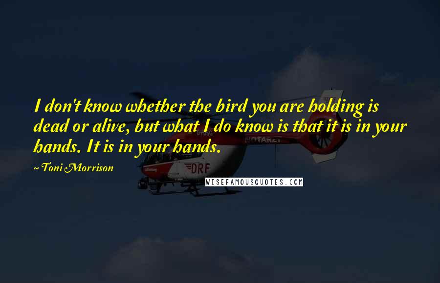 Toni Morrison Quotes: I don't know whether the bird you are holding is dead or alive, but what I do know is that it is in your hands. It is in your hands.