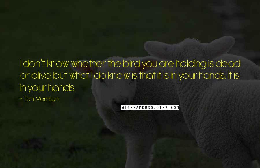 Toni Morrison Quotes: I don't know whether the bird you are holding is dead or alive, but what I do know is that it is in your hands. It is in your hands.