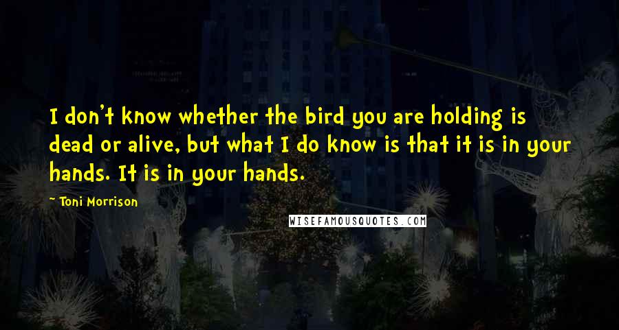 Toni Morrison Quotes: I don't know whether the bird you are holding is dead or alive, but what I do know is that it is in your hands. It is in your hands.